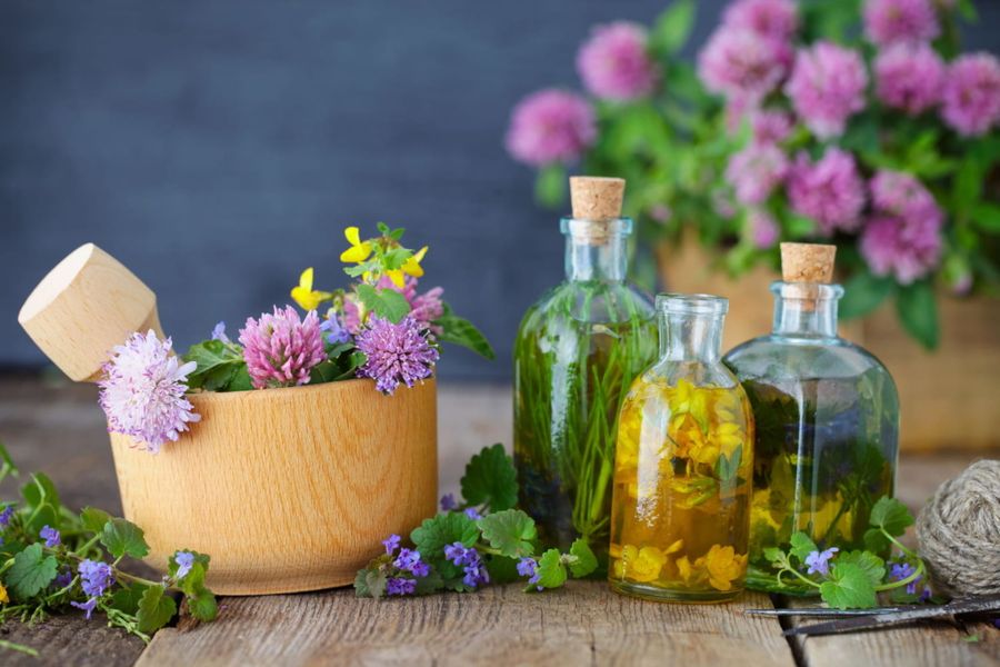 Phytothérapie - plantes médicinales